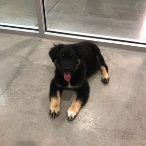 Meet your Posher, Jeremy